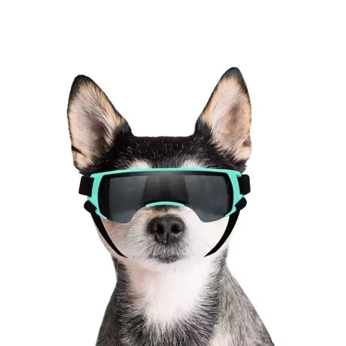 UV Pet Sunglass-Goggles